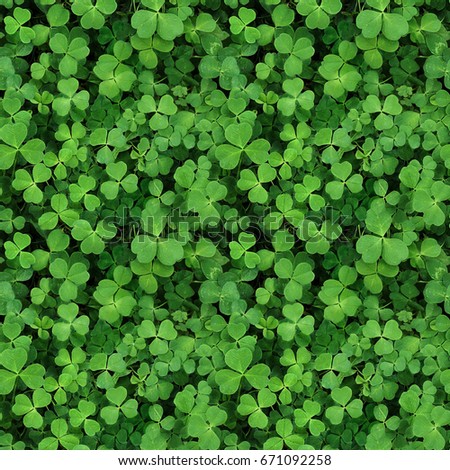 Seamless green background with three petals clover. Spring ground cover.