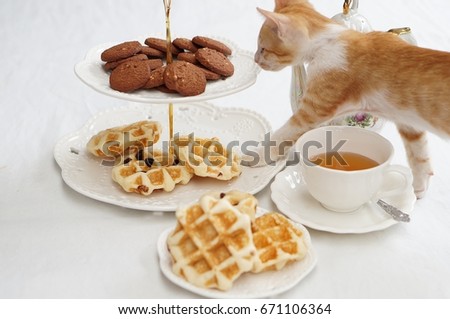Thief cat looking Dessert  with afternoon tea set on white background