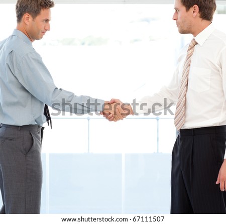 Two partners concluding a deal by shaking hands standing in the office