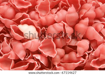 Close-up of italian pasta - colored seashells, for backgrounds or textures