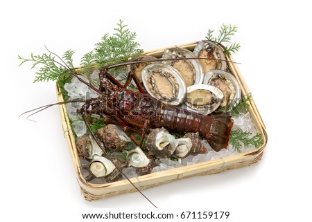 Lobster, ear shell and turban shell Royalty-Free Stock Photo #671159179