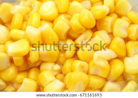 background of sweet corn seed