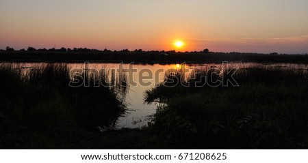 Sunset on the lake outside the city. Summer warm evening, leaving the sun, reeds, horizon.