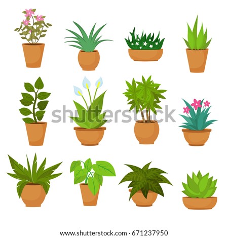 Indoor and outdoor landscape garden potted plants isolated on white. Vector set green plant in pot, illustration of flowerpot bloom Royalty-Free Stock Photo #671237950