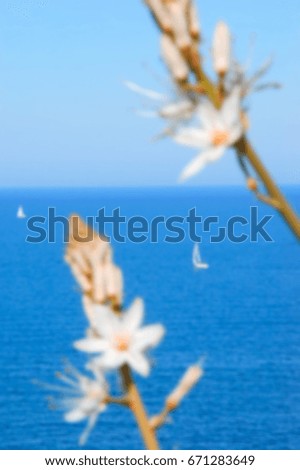 Blurred photo of sailing boats in sea seen through the flowers. Toned image.