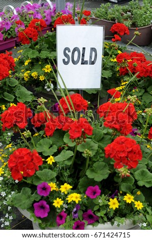 Sold Sign With Colorful Flowers