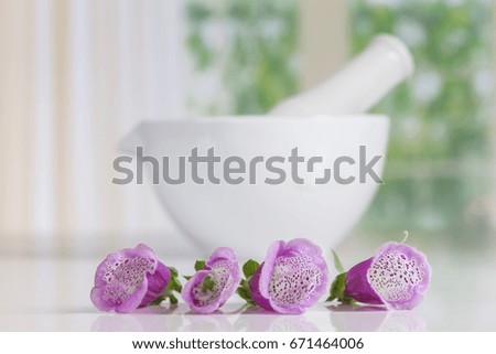 Digitalis Flowers with a ceramic mortar on background