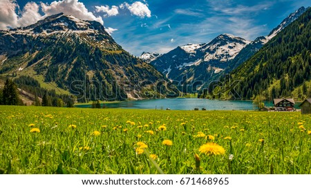 Vilsalpsee in spring with flower meadow and mountains in background Tannheimer Tal Austria