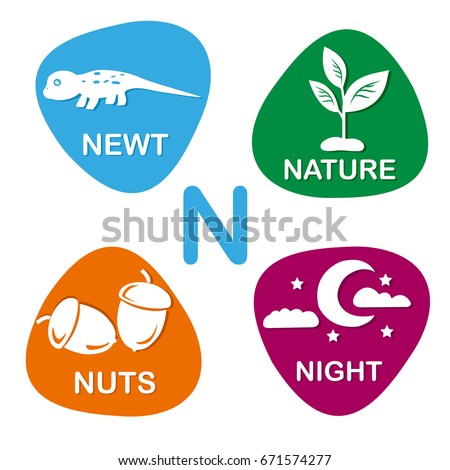 Cute alphabet in vector. N letter for newt, nature, nuts and night. Alphabet design in a colorful style