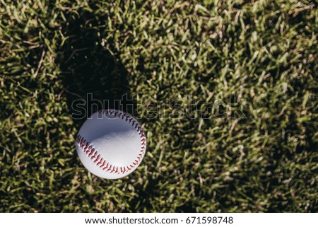 Baseball ball is lying on green grass