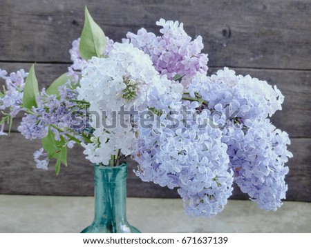 lilac flowers in a vase, selective focus and toned image