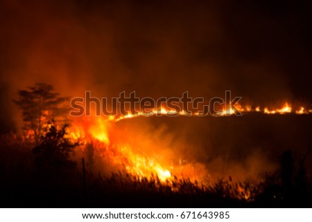 Blurry Picture of Fire Burning Grass and Trees on Night 