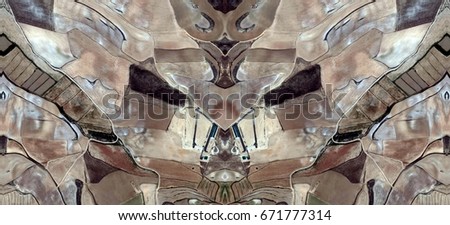 Nightmare with demon,Tribute to Dalí, abstract symmetrical photograph of Spain fields from the air ,artistic representation of human labor camps, aerial view,abstract expressionism,mirror effect,
