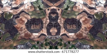 Cubist butterfly, Tribute to Dalí, abstract symmetrical photograph of Spain fields from the air ,artistic representation of human labor camps, aerial view,abstract expressionism,mirror effect,
