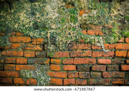 Old red brick with moss. Background and textures.