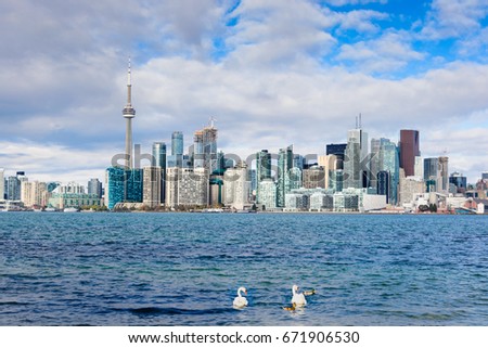 Toronto skyline, downtown as seen from Toronto island, autumn, swans in the foreground