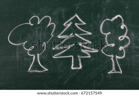 Trees on chalkboard, blackboard texture