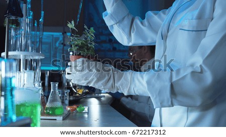 Scientist doing experiments on a potted plant in a chemical laboratory pipetting a solution onto the top leaves in a close up view of his hands with lab glassware visible behind.