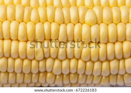 Texture detail of yellow elote grains
