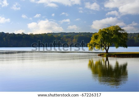 Tree on a river Royalty-Free Stock Photo #67226317