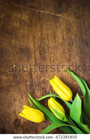 Yellow Fresh Spring Flowers Tulips Botanical Art Floral Background Concept Woman's day Mother's Day Valentines Greeting Card Brown Wooden Background