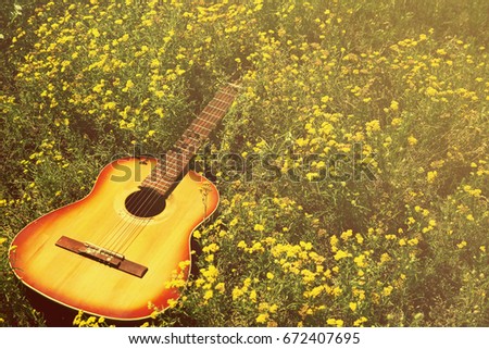 The guitar lies on the ground, the concept: a song about summer, music in colors, a flower garden, toned