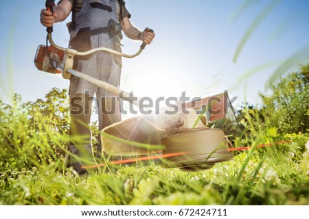 Gardening with a brushcutter Royalty-Free Stock Photo #672424711