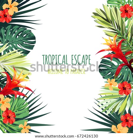 Floral square postcard design with guzmania and hibiscus flowers, monstera and royal palm leaves. Exotic hawaiian vector background. Royalty-Free Stock Photo #672426130