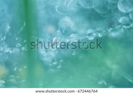 Macro dew drops on spider web. Close-up a drop of water with sparkling bokeh on green blurred background.  Abstract soft artistic image.