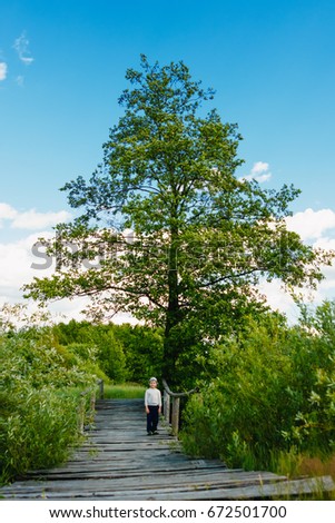 Baby boy stands on a wooden bridge over a river and blue sky