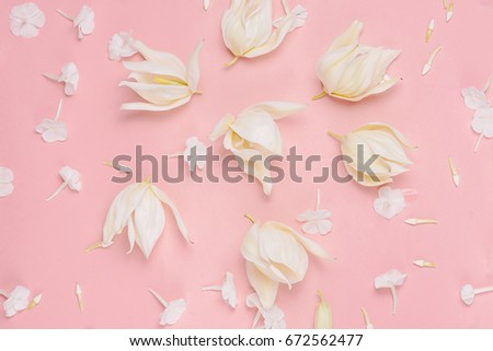Floral composition on pink background, pastel tone. Top view, flat lay.