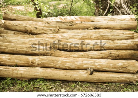 Log pile in the forest. Wood stack. Close up