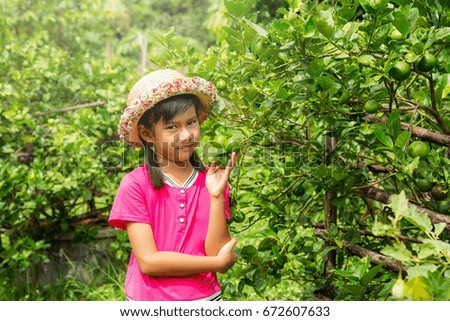 Child asian girl wear a hat walkking in fruit garden.