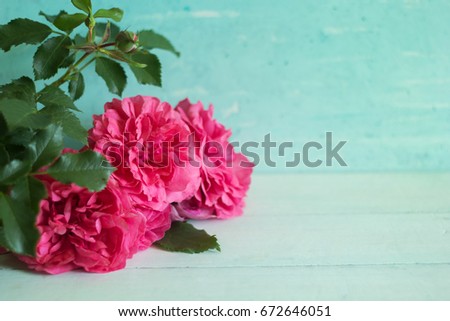 pink fluffy roses on a table, copy space