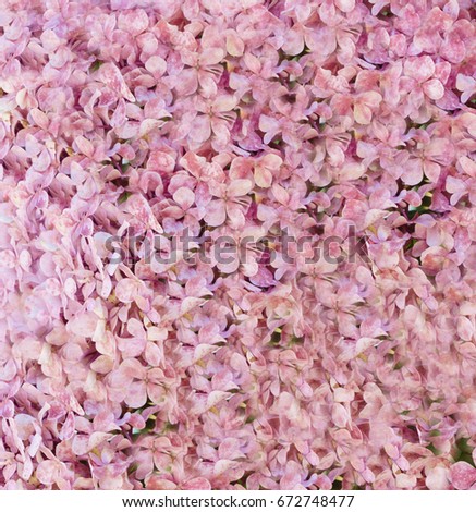 Background of small pink flowers