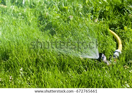 Water is sprayed from the watering hose onto the green luscious grass in the middle of the lawn on a hot, sunny summer day, a watering system, a rainbow
