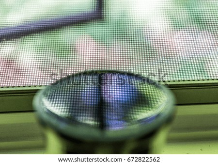 Reflection of mesh window and green foliage in cup of water or tea on windowsill