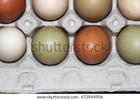 Different colored eggs in a cardboard egg carton