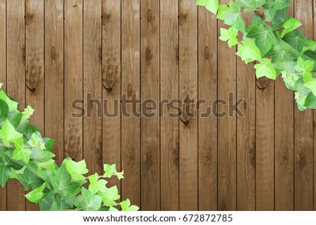 wooden ivy background