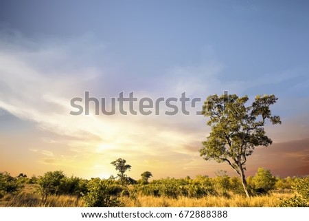 African landscape with dramatic clouds in Kruger National Park, South Africa