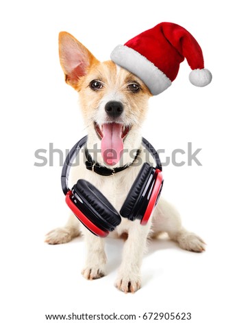 Cute dog in Santa hat and headphones on white background. Christmas and New Year 2018 music