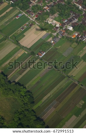 rice farmland