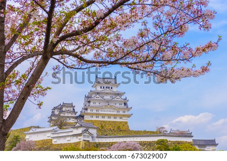 Japan Himeji castle , White Heron Castle in beautiful sakura cherry blossom season good sightseeing and best travel destination in Himeji,Japan.