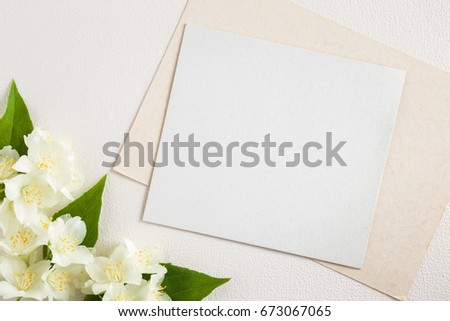 White jasmine with blank greeting card on the white background. Fresh, fragrant flowers. 