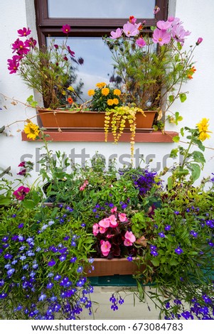 Window box with lobelia, daisies and geraniums