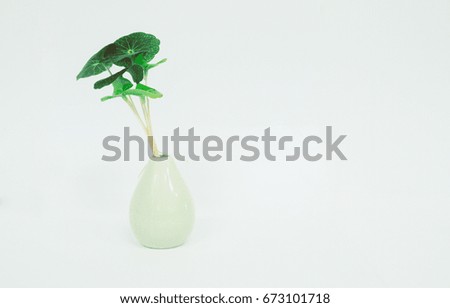 aroma oil with fresh on white background