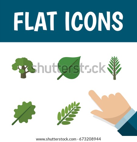 Flat Icon Nature Set Of Tree, Leaves, Alder And Other Vector Objects. Also Includes Tree, Hickory
