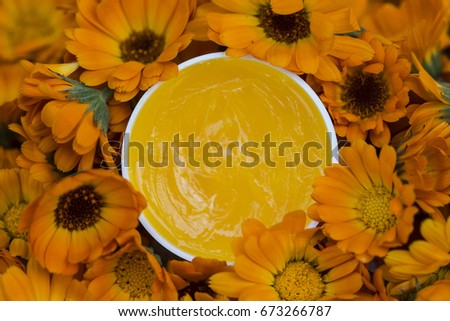 Ointment of marigolds. The marigold is known for its bright orange colored flowers as well as its numerous medicinal properties