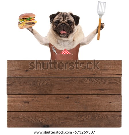happy pug dog wearing leather barbecue apron, holding hamburger and spatula, with wooden board sign, isolated on white background