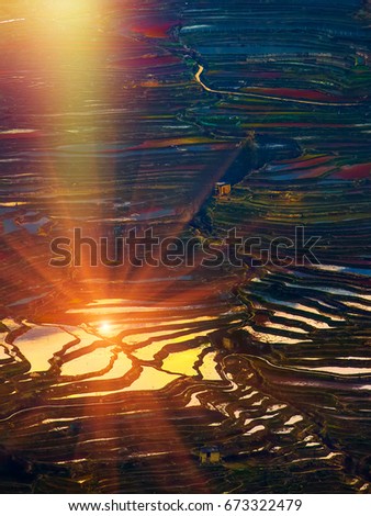 abstract blurred sunrise reflection over terraced rice field